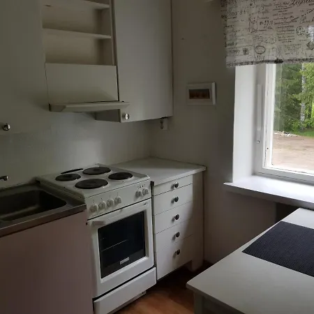 Hostelli Koulukumpu Puutyoluokka Vierema