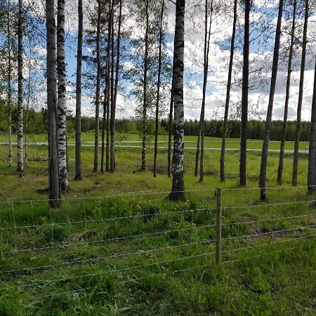 Koulukumpu Puutyoluokka Hostelli *