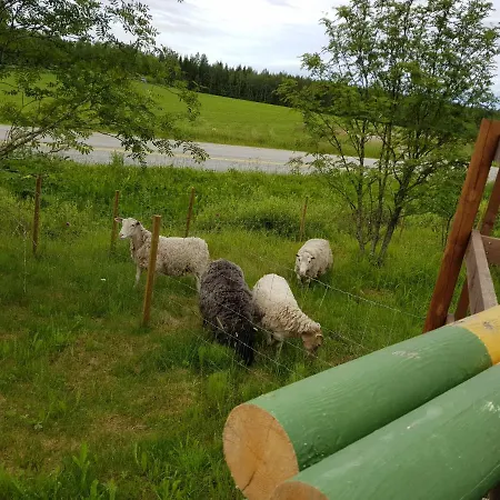 Koulukumpu Puutyoluokka