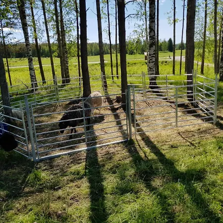 Hostelli Koulukumpu Puutyoluokka *