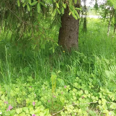 Koulukumpu Puutyoluokka Hostelli