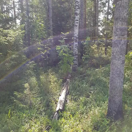 Koulukumpu Puutyoluokka *